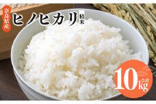 令和6年産 ヒノヒカリ 精米 10kg  奈良県産 | 米 こめ コメ お米 おこめ  令和6年産 令和6年 ひのひかり 奈良県 平群町 ライス 新米