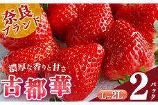 【選べる内容量】平群の古都華 L～2Lサイズ （2パック 1ケース）計2パック 阪野農園 | 果物 くだもの フルーツ 苺 イチゴ いちご ストロベリー 古都華 ことか 旬の品種 産地直送 奈良県 平群町