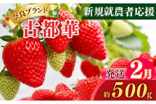 新規就農者応援 古都華 2パック 2月発送 | フルーツ 果物 くだもの ブランド いちご 苺  古都華 ことか ルビー色 旬  奈良県 平群 町 