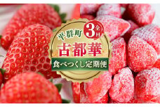 【 定期便 3回 】 濃紅 の 宝石 へぐり の 古都華 食べつくし | ブランド 苺 ご褒美 ごほうび 高糖度 甘い イチゴ いちご ストロベリー 古都華 ことか ルビー色 果物 くだもの フルーツ フレッシュ 新規 農家 応援 支援 旬の品種 奈良県 平群町