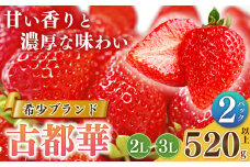いちご 平群の古都華 2L〜3Lサイズ 2パック  扇田農園 | 果物 くだもの フルーツ 苺 イチゴ いちご ストロベリー 古都華 ことか 旬の品種  奈良県 平群町