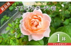 オリジナルガーデン苗（フレンチピンク） | ローズ フラワー 花 新鮮 高品質 綺麗 平群のバラ 苗 四季咲き 平群ローズ 奈良県 平群町