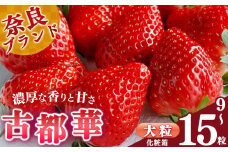 【 選べる 内容量 】贈答 平群 の 古都華 化粧箱 入り 大粒 9～15粒 阪野農園 | 先行予約 フルーツ 果物 くだもの ブランド いちご 苺 古都華 ことか 甘い 大人気 満足 希少 希少品種 ストロベリー 美味しい 品種 特徴 糖度 2月 3月 4月 5月 発送 旬 送料無料 濃厚 香り 果汁 味わい深い お取り寄せ 産地直送 農家直送 名産地 奈良県 平群 町