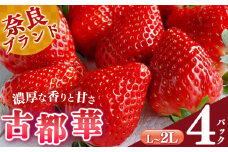 【選べる内容量】平群の古都華 L～2Lサイズ （2パック 2ケース）計4パック 阪野農園 | 果物 くだもの フルーツ 苺 イチゴ いちご ストロベリー 古都華 ことか 旬の品種 産地直送 奈良県 平群町
