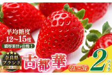平群の古都華 2L～3Lサイズ 1ケース （2パック） |  先行予約 フルーツ 果物 くだもの ブランド いちご 苺  古都華 ことか 品種 特徴 糖度 ルビー色 旬 ふるさと納税 奈良県 平群 町 