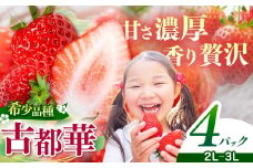 平群の古都華 2L～3Lサイズ （4パック 2ケース） 計4パック OKADAファーム | 果物 くだもの フルーツ 苺 イチゴ いちご ストロベリー 古都華 ことか 旬の品種 フードロス 産地直送 奈良県 平群町 1月発送 2月発送