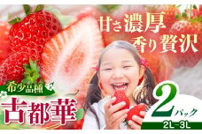 平群の古都華 2L～3Lサイズ （2パック 1ケース） 計2パック OKADAファーム | 果物 くだもの フルーツ 苺 イチゴ いちご ストロベリー 古都華 ことか 旬の品種 フードロス 産地直送 奈良県 平群町 1月発送 2月発送