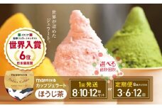 【定期便12回】mammaカップジェラート ほうじ茶 8個セット (毎月お届け） | アイス クリーム ジェラート お菓子 おやつ ほうじ茶 ヘルシー アイスクリーム 奈良県 平群町