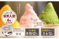 mammaカップジェラート 雪塩 10個セット | アイス クリーム ジェラート お菓子 おやつ 雪塩 ヘルシー アイスクリーム 奈良県 平群町