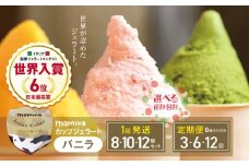 【定期便6回】mammaカップジェラート バニラ 8個セット (毎月お届け） | アイス クリーム ジェラート お菓子 おやつ バニラ ヘルシー アイスクリーム 奈良県 平群町