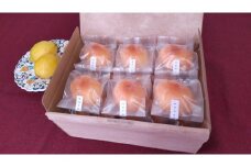 ケーキ工房菜の花 無添加レモンケーキ　大（20個入り）