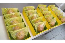 ケーキ工房菜の花 純朴レモンケーキ　（5個入）