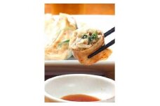 結崎ネブカを中心とした大和野菜たっぷり餃子（計45個）