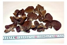 川西町産「生きくらげ」　生きくらげ150グラム