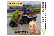 「ひのひかり」 玄米 10kg 志埜さんが丹精込めて作った 米 奈良県 三宅町 ヒノヒカリ おいしい 冷めても もちもち 堆肥ミネラル栽培米
