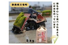 「ひのひかり」白米 5kg 志埜さんが丹精込めて作った米 奈良県 三宅町 ヒノヒカリ おいしい 冷めても もちもち 堆肥ミネラル栽培米
