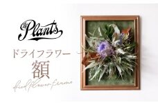 ドライフラワー【額】フラワー アレンジメント 花束 フラワー ギフト オリジナル  母の日 女性 インテリア 花 アレンジ 飾り おしゃれ 人気 高級 玄関 プレゼント 