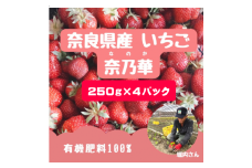 【奈良県限定！】いちご「奈乃華」 250g×4パック  イチゴ 奈良県 苺 期間限定 おいしい 季節 贈答 フルーツ 果物 国産 