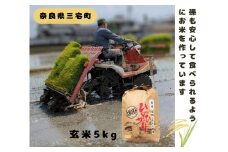 「ひのひかり」玄米 5kg 志埜さんが丹精込めて作った 米 奈良県 三宅町 ヒノヒカリ おいしい 冷めても もちもち 堆肥ミネラル栽培米
