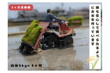 【3回定期便】「ひのひかり」白米 5kg × 3ヶ月 連続でお届け 全15kg 奈良県 三宅町 志埜米穀店 ヒノヒカリ 冷めてもおいしい もちもち 堆肥ミネラル栽培米
