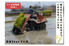 【3回定期便】「ひのひかり」玄米 5kg × 3ヶ月 連続でお届け 全15kg 奈良県 三宅町 志埜米穀店 ヒノヒカリ 冷めてもおいしい もちもち 堆肥ミネラル栽培米