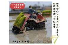 【6回定期便】「ひのひかり」玄米 5kg × 6ヶ月 連続でお届け 全30kg 奈良県 三宅町 志埜米穀店 ヒノヒカリ 冷めてもおいしい もちもち 堆肥ミネラル栽培米