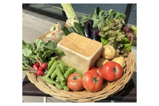 道の駅レスティ唐古・鍵 「オリジナル食パン1.5斤+旬の新鮮野菜8種以上」 大満足 セット ！！ ／ 生鮮食品 旬 新鮮 野菜 パン 奈良県 田原本町