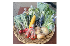 道の駅レスティ唐古・鍵 「旬の新鮮野菜8種類以上詰合せ」！！ ／ 生鮮食品 旬 新鮮 野菜 奈良県 田原本町