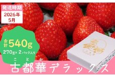 （冷蔵）【５月発送分】イチゴ 奈良県産高級ブランド品種「古都華」デラックス（270g×２パック） ／ 上田農園 苺 いちご 果物 フルーツ 甘い 奈良県 田原本町