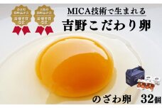 こだわり のざわ卵 32個 (1箱16個入り×2箱) 【田原本町×吉野町共通返礼品】 ／ 野澤養鶏 おいしい たまご 玉子 生卵 鶏卵 濃厚 奈良県鶏卵品評会最優秀賞受賞 奈良県