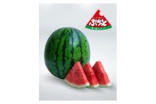タネまで美味しい ぷちっと スイカ ／ 萩原農場 西瓜 果物 フルーツ デザート 商標登録済 奈良県 田原本町