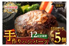 （定期便）【全12回】（冷凍）国産牛肉100％食べ応え満点 手作り・手ごね ハンバーグ 750g ／ 歩商事 定期便 牛肉 手作り 手ごね ハンバーグ 奈良県 田原本町