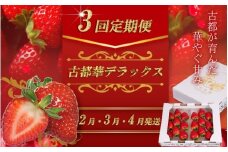（冷蔵）【定期便全3回】（2月・3月・4月）イチゴ 奈良県産高級ブランド品種「古都華」デラックス（270g×2パック） ／ 上田農園 苺 いちご 果物 フルーツ 甘い 奈良県 田原本町