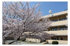 【学校応援ふるさと寄附金】田原本町立東小学校（返礼品なし）1,000円