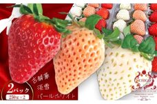 （冷蔵）３色いちご ／ 前田ストロベリー研究所 古都華 ピンク色の淡雪 パールホワイト ゆきぼたん 果物 フルーツ 甘い 奈良県 田原本町