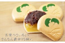 お葉つきいちょうぎんなん最中15個入り /// 最中 もなか モナカ 和菓子 最中 和菓子屋 和菓子 高級 大納言粒あん