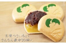 お葉つきいちょうぎんなん最中30個入り /// 最中 もなか モナカ 和菓子 最中 和菓子屋 和菓子 高級 大納言粒あん