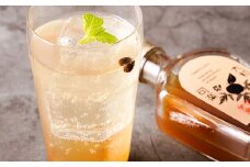 【天然素材のクラフトコーラ】 大和コーラ希釈用 200ml2本 / 15種類以上のスパイスとハーブで作った体に優しいコーラ クラフトコーラ 希釈