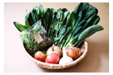 【定期便】2025年6月発送開始 野菜5種5品5ヶ月定期便 /// 奈良県 野菜 野菜セット 定期便 核家族 小さめセット 月1配送 予約 おすすめ 野菜定期便