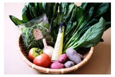 曽爾村の旬野菜と加工品の詰め合わせ お試しセット // 野菜 加工品 少量セット 味見 お試し