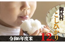 H01 先行予約 令和6年産米 3姉妹も大好き コシヒカリ 合計 12kg｜米 こめ コメ お米 おこめ オコメ 令和5年産  白米 こしひかり 奈良県 御杖村 御杖村産