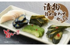 E01 旬の野菜の漬物詰め合せセット 4～5種類 | 漬物 漬け物 野菜 旬の野菜 詰め合わせ 奈良県 みつえむら