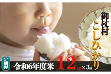 H01-3 【定期便】先行予約 令和6年 3姉妹も大好き コシヒカリ 12kg × 3回 合計 36kg (3回お届け)
