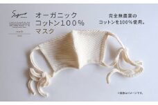 F03wM SuganoORGANIC マスク Mサイズ 綿 USAオーガニックコットン 100%  | Mサイズ / Lサイズ オーガニック コットン スガノ工房 奈良県 御杖村 みつえむら