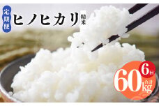 N09 【定期便】奈良県産 ヒノヒカリ 精米 10kg × 6回 合計 60kg (6回お届け) | 米 こめ コメ お米 オコメ おこめ 奈良県 御杖村  米 白米
