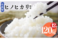 N10 【定期便】奈良県産 ヒノヒカリ 精米 10kg × 12回 合計 120kg (12回お届け) | 米 こめ コメ お米 オコメ おこめ 奈良県 御杖村  米 白米