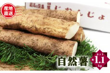 自然薯 カット状態 約1.1kg | とろろ 滋養強壮 健康食 御杖村 送料無料 期間限定 奈良県 御杖村 みつえむら