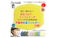 アニちゃんマークのドクターマスク用 不織布抗菌・抗ウイルスフィルターLサイズ 10枚(1袋 5枚入)【1290490】