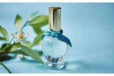 明日香村の花「橘」から生まれた、気高き香水＜Sara＞