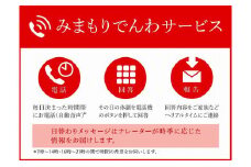 みまもりでんわサービス【携帯電話】(６か月間)